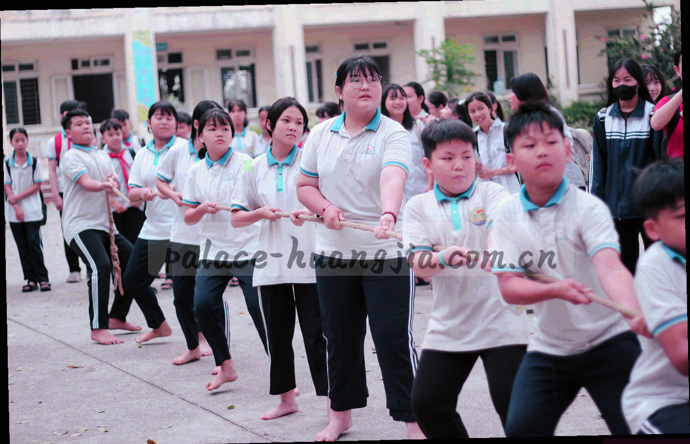 八个几何边框宫廷符号围绕中央档案索引轴排列的专区总览图